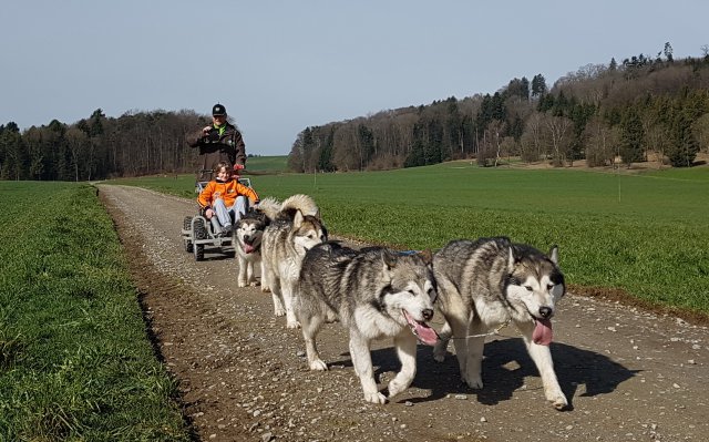 training 18-03 2018-04-02-10h30m30